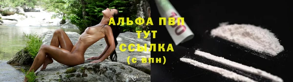 дурь Коряжма
