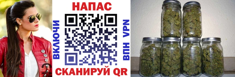 Бошки марихуана MAZAR  Купить  Буй 